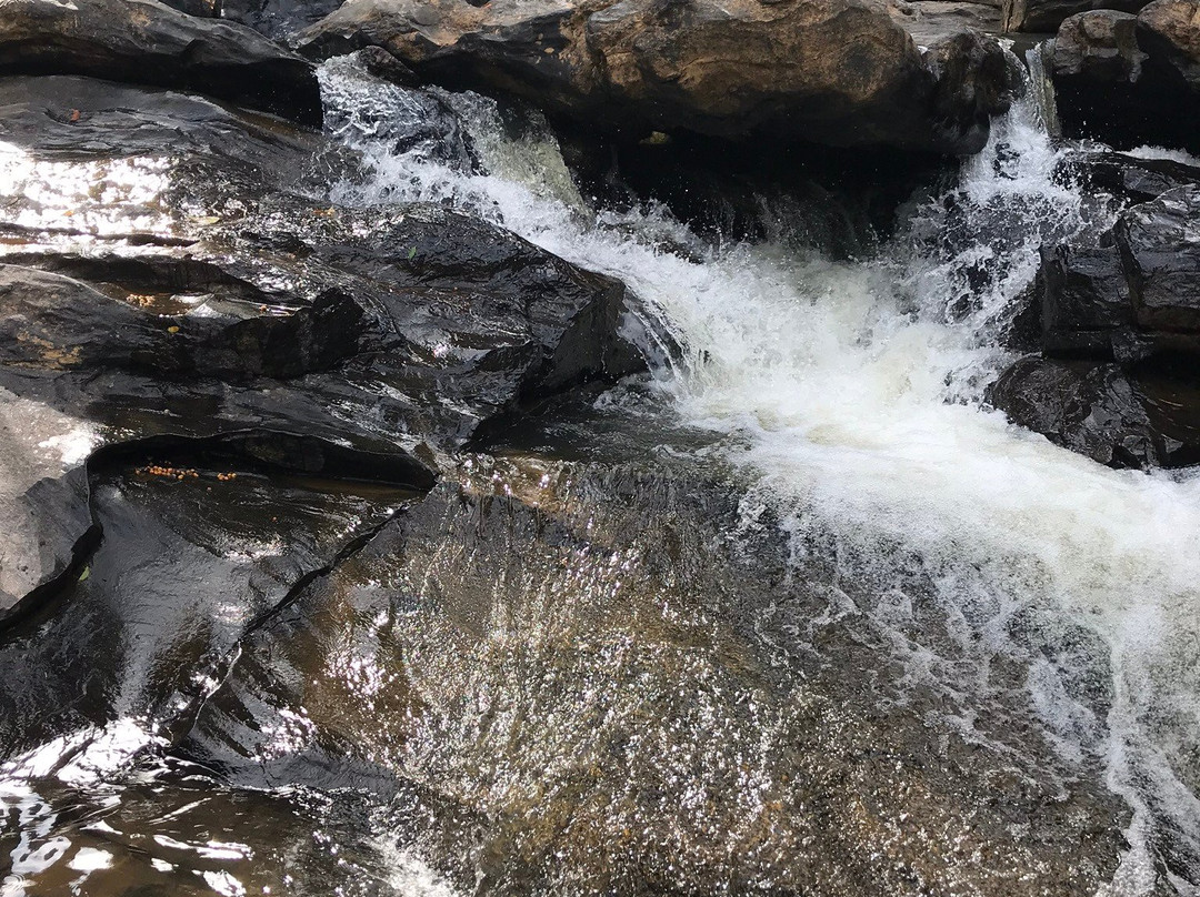 Manjehalli Waterfalls-Sakleshpur必去景点