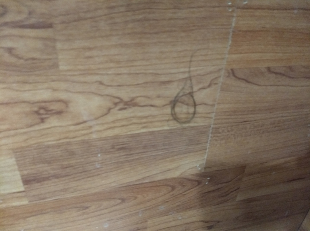 Knights Inn West Memphis主图