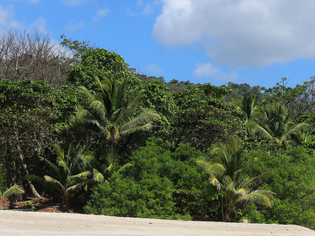 Blue Surf Sanctuary主图