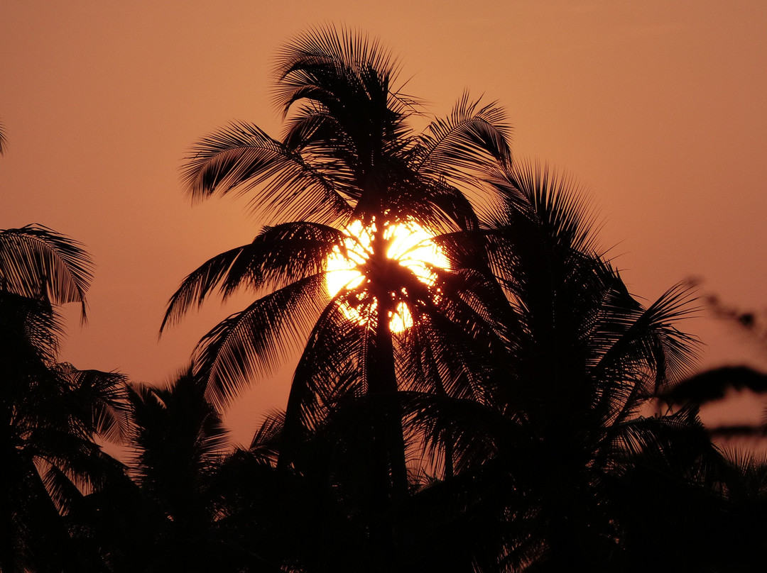 Coco Village Hotel主图