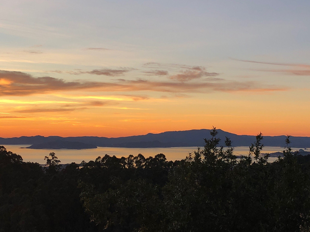 Grizzly Peak-伯克利必去景点