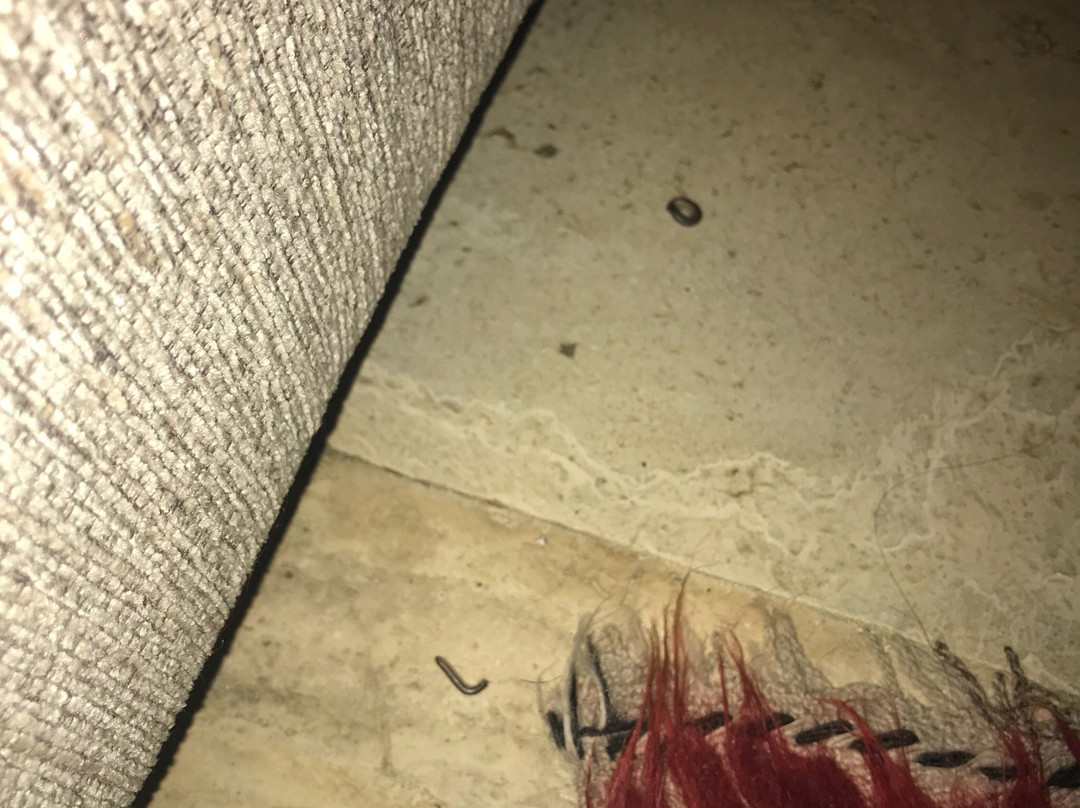 Zeytinbagi Hotel主图