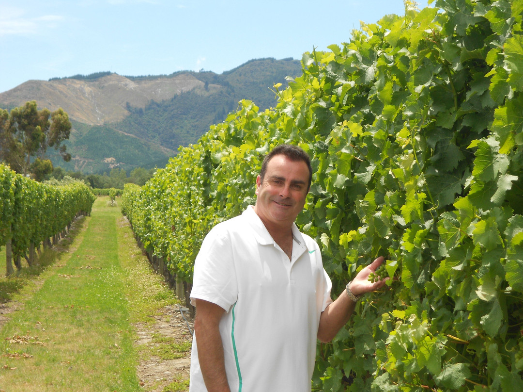Mike's Wine Tours景点图片