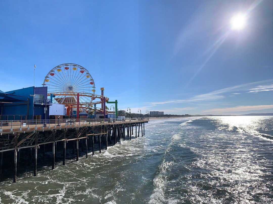 Electric Gold California Tours-洛杉矶必去景点