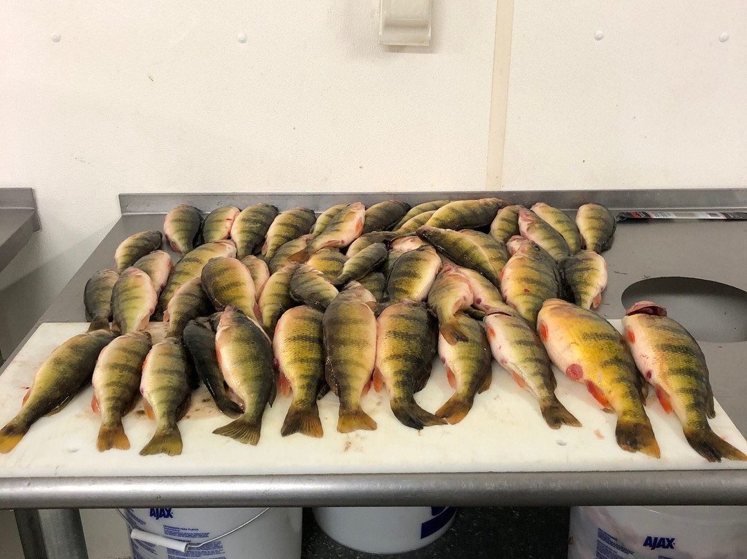 Perch Patrol-Devils Lake必去景点