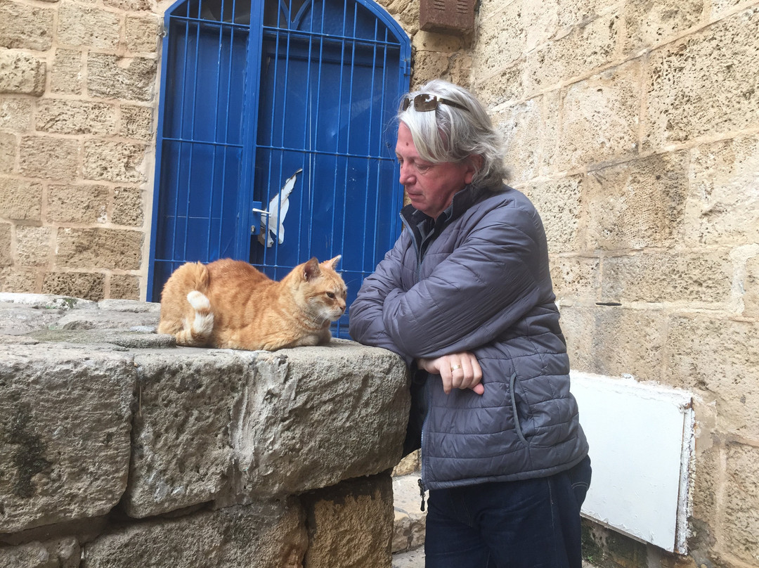 Jaffa Tales Old Jaffa Visitor's Center-雅法必去景点