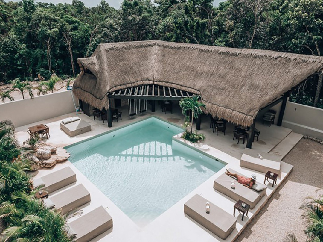 Dos Palmas酒店住宿-Xcacel Dreams