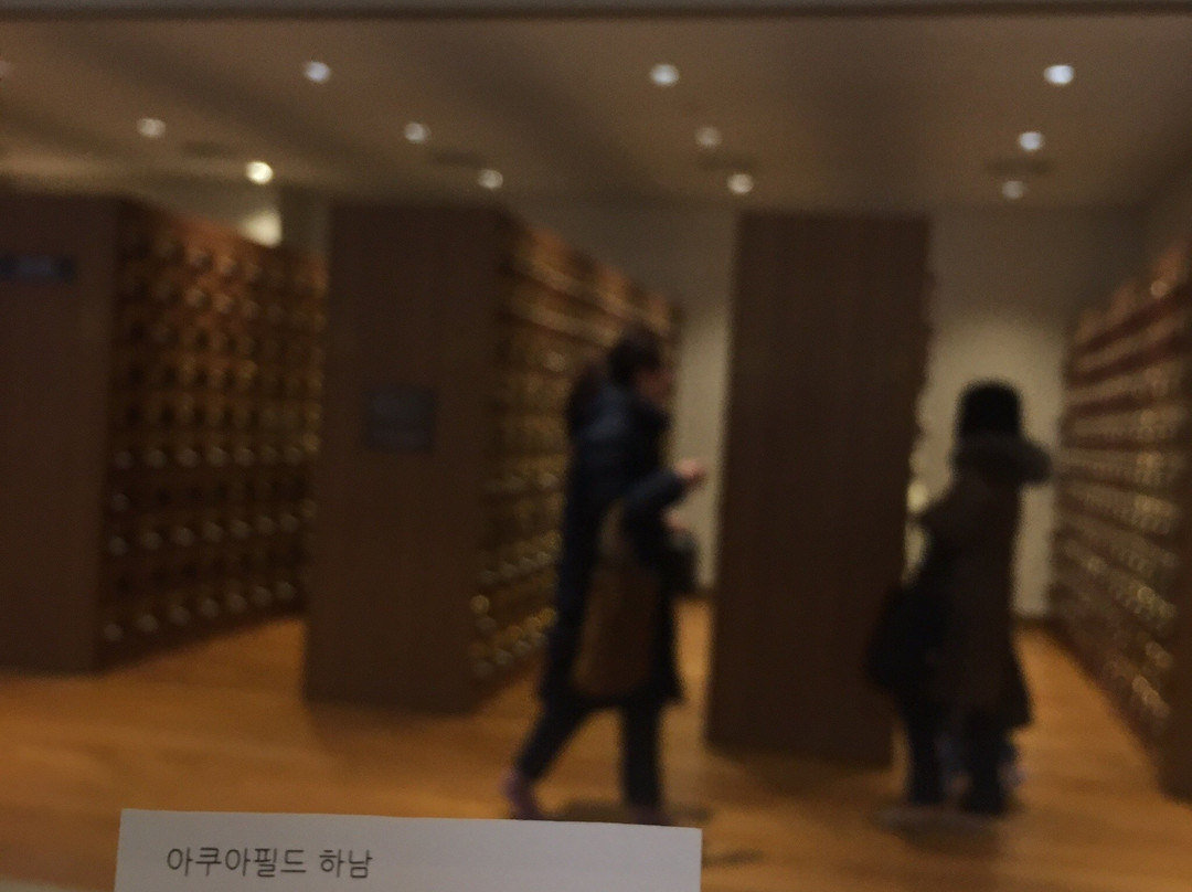 Aquafield Hanam-河南市必去景点