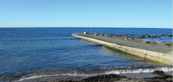 Fågelviken