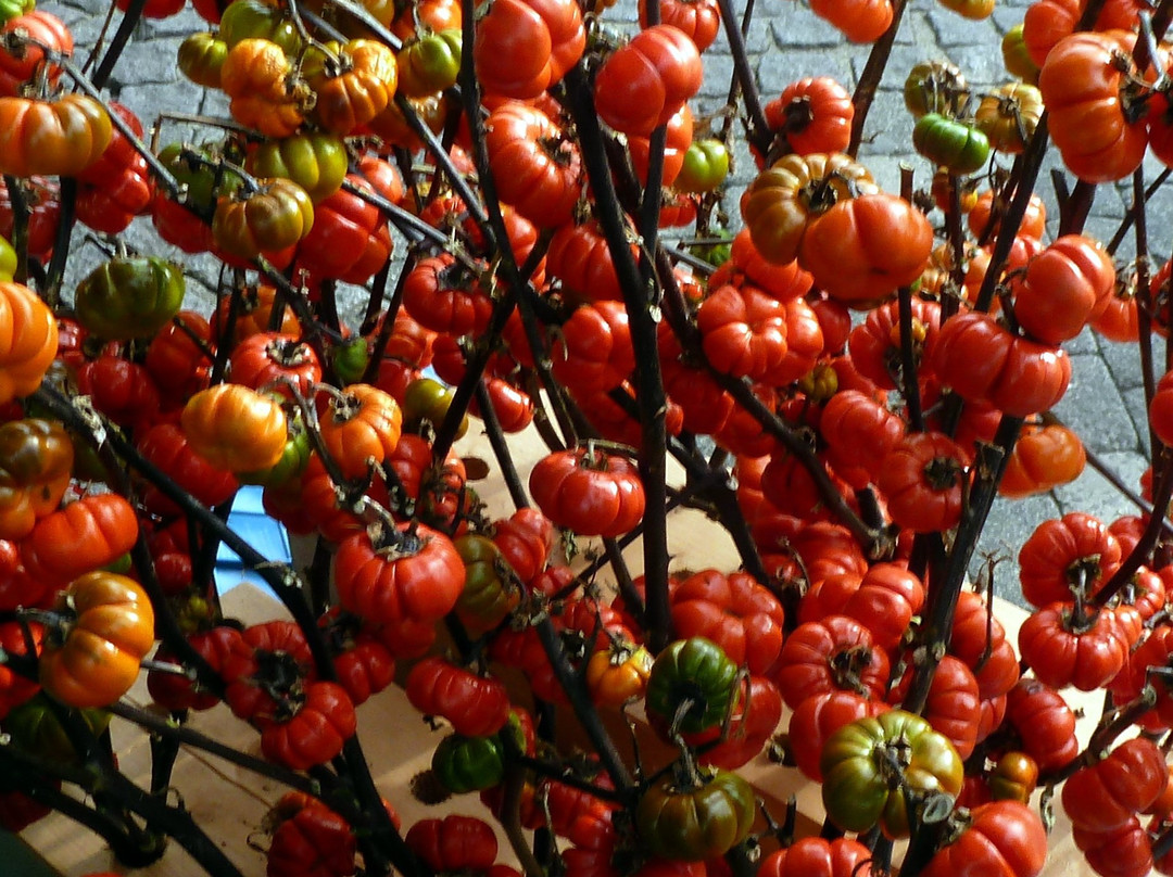 Wochenmarkt-Arnsberg必去景点