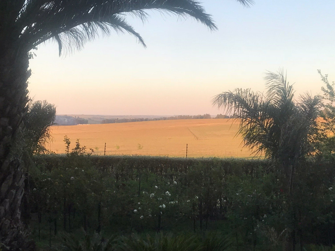 Highveld Splendour Boutique Bed and Breakfast主图