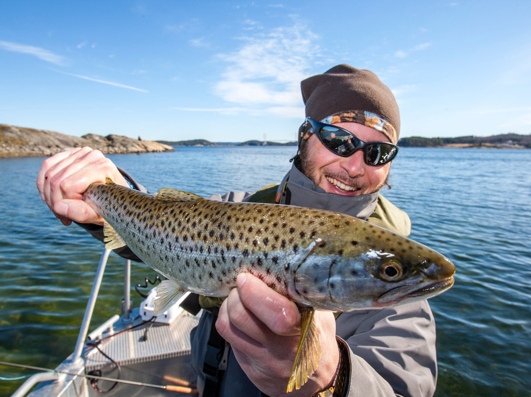 Wild Fish Sweden-Varekil必去景点