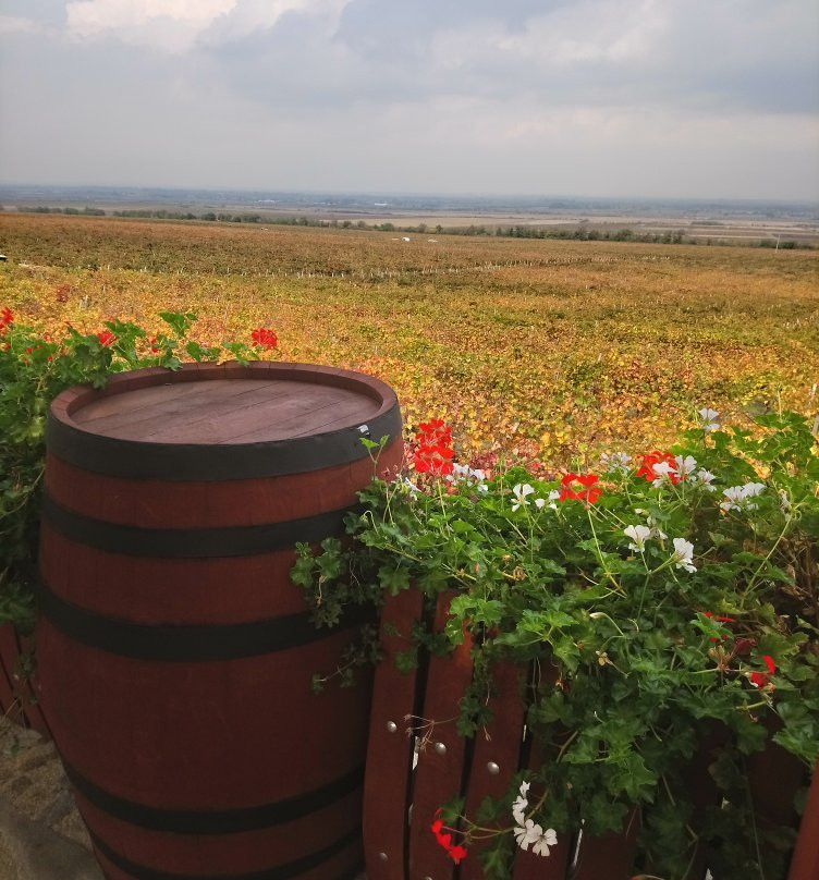 Zagreus Winery-Parvomai必去景点