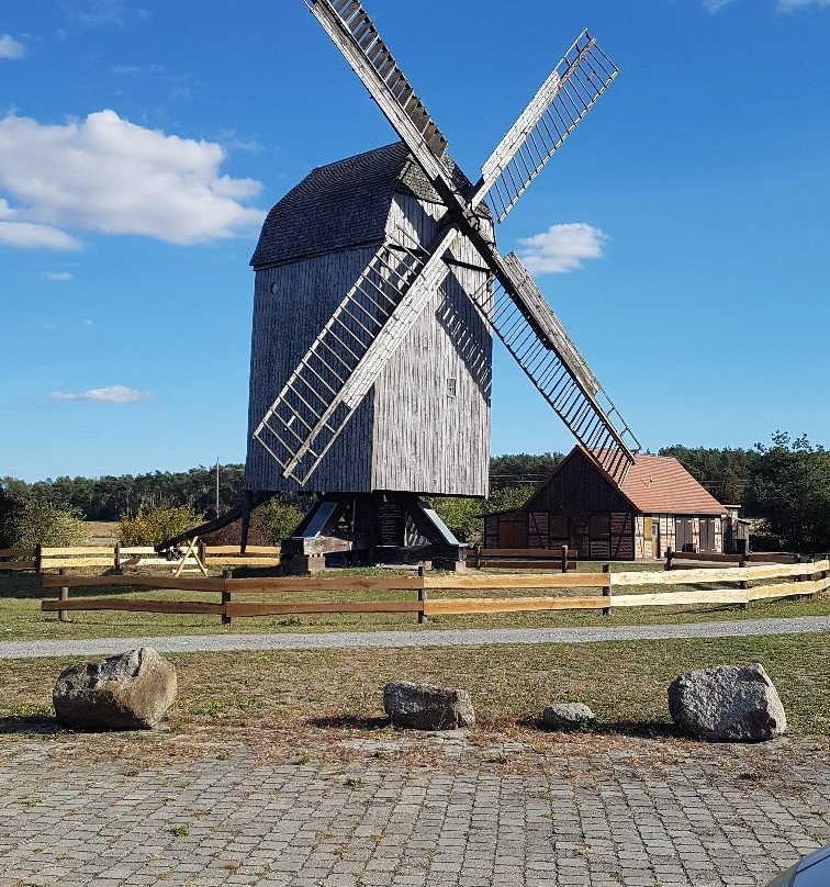 Bertingen旅游景点-Bockwindmuhle Lindhorst