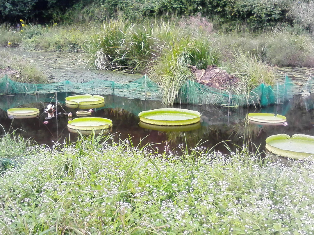 Dragonfly Nature Park-四万十市必去景点