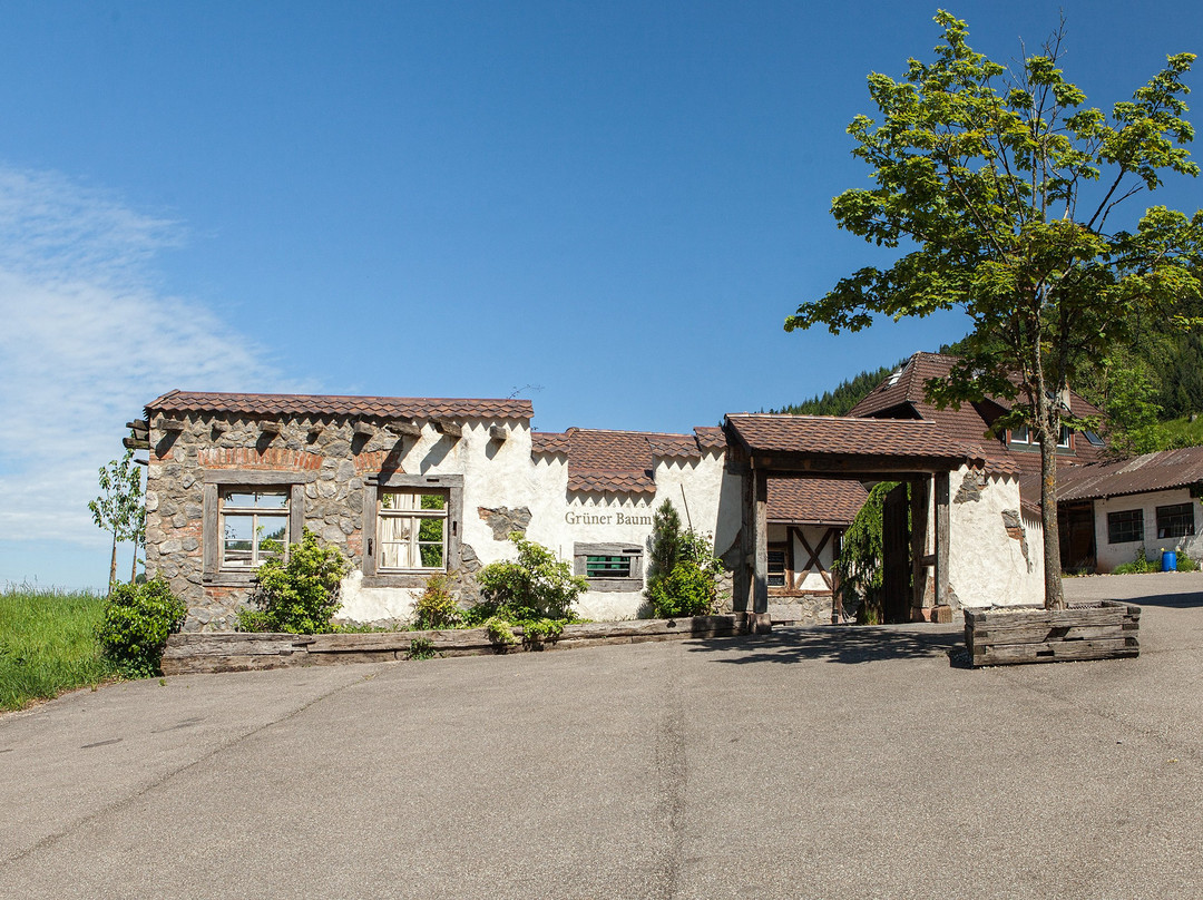 Landgasthaus Gruener Baum主图