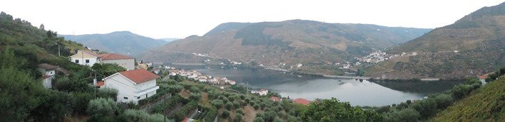 Tomas Barqueiro主图