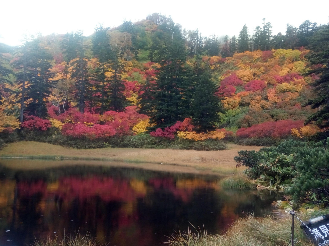 Daisetsu Kogen Swamp-上川町必去景点