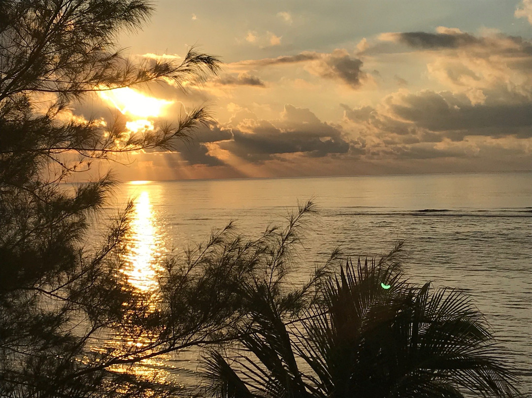 Sea Palm Villas主图