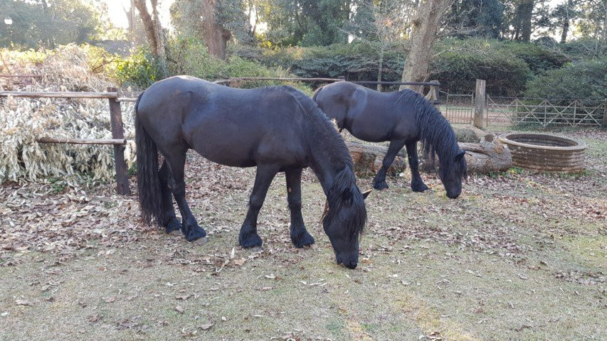 The Knoll Historic Guest Farm主图