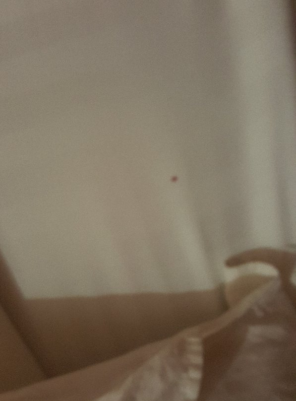 Mara Link Hotel主图