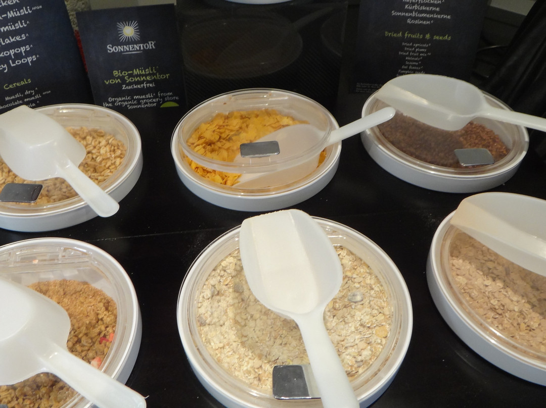 奥地利潮流酒店萨尔斯堡店主图