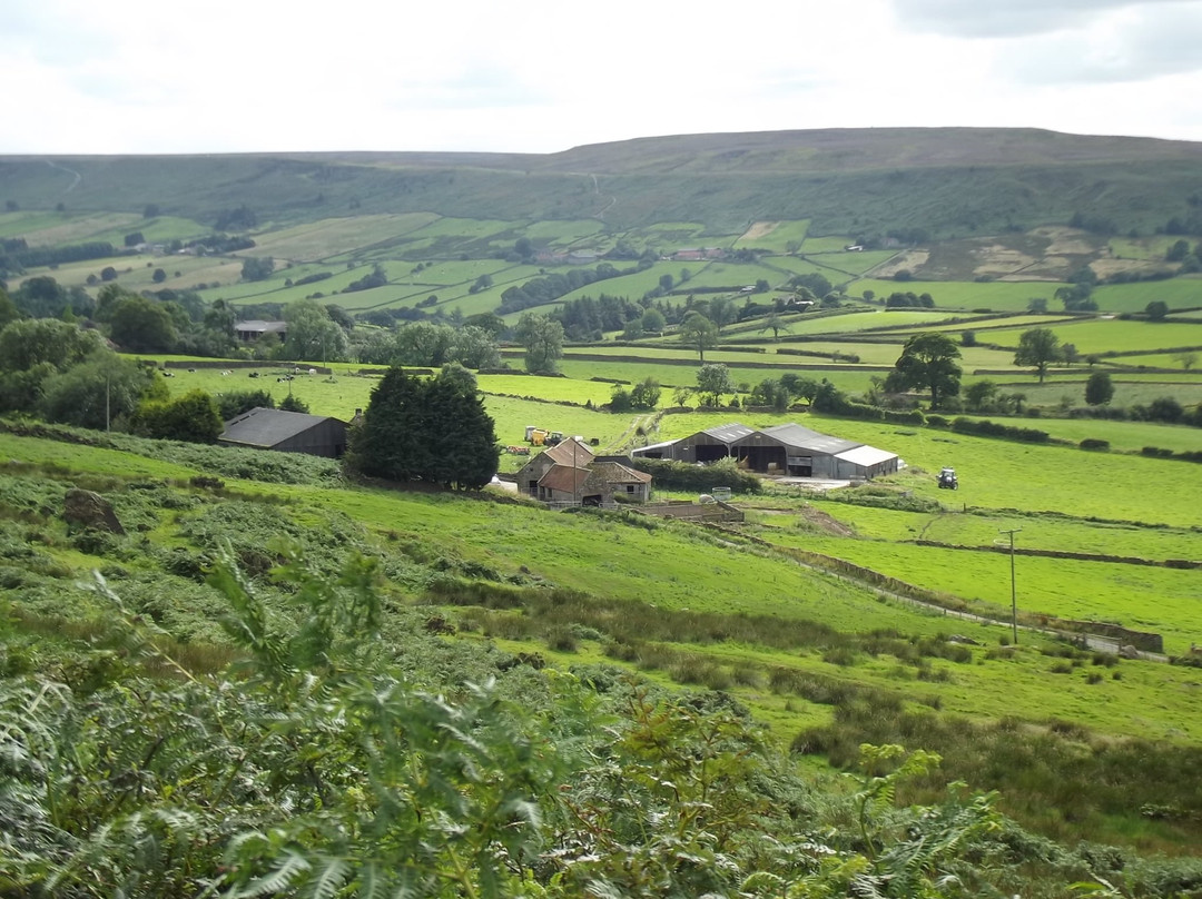 Danby酒店住宿-Rowantree Farm B&B