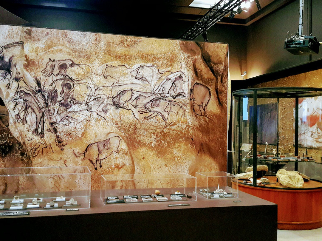 Musee D’Anthropologie Prehistorique景点图片