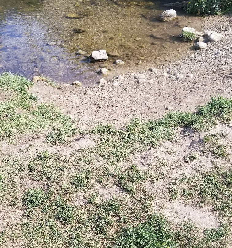 Off-Leash Dog Park景点图片