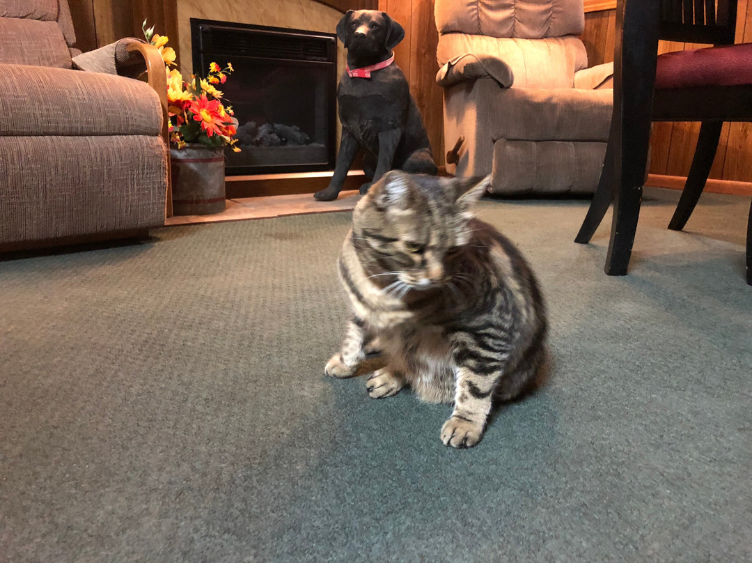 Sage N Sand Motel主图