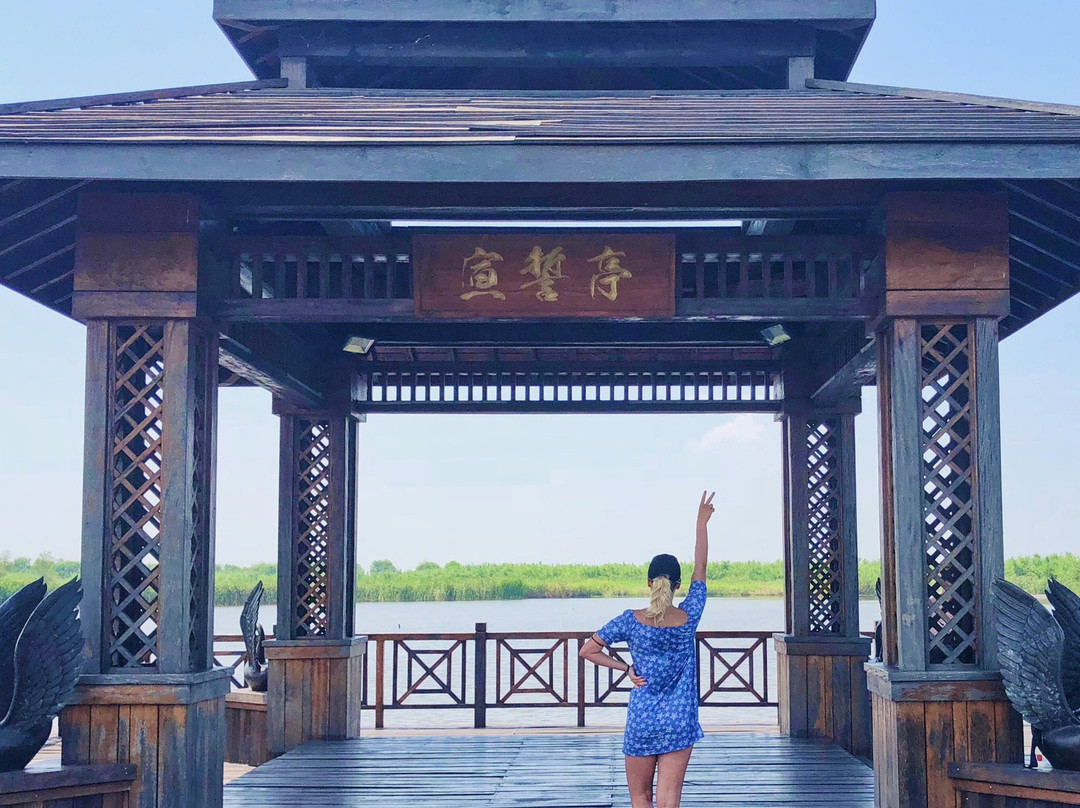杭州湾湿地-慈溪市必去景点