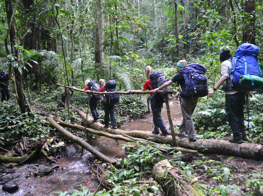 Phou Iu Travel & Ecotourism-琅南塔必去景点
