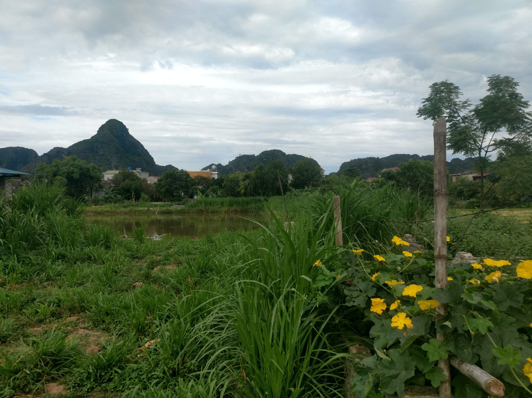 Tuyet's Homestay主图
