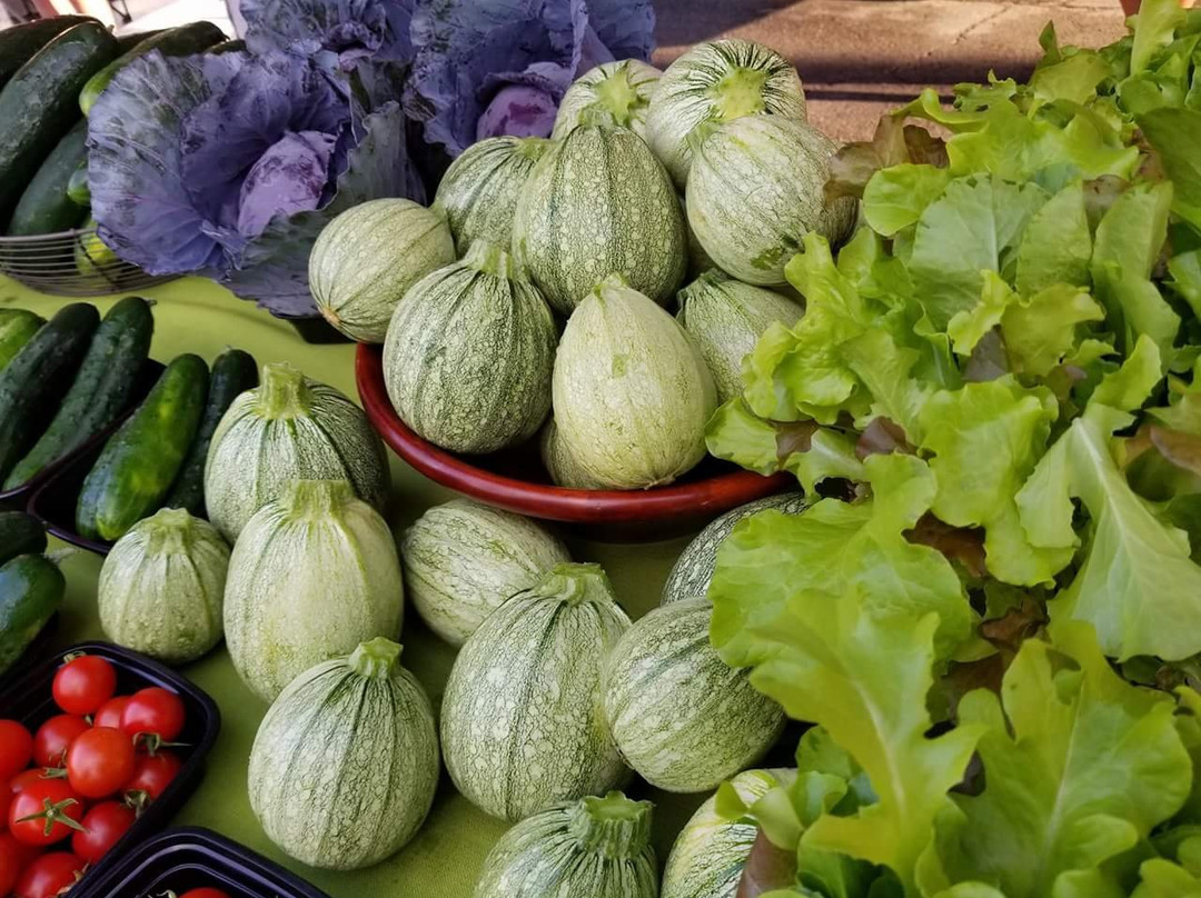 Hamburg Farmers' Market-Hamburg必去景点