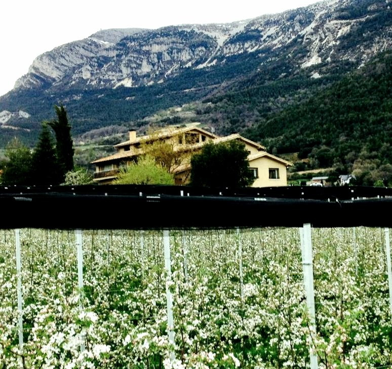 Casa Rural Rebost