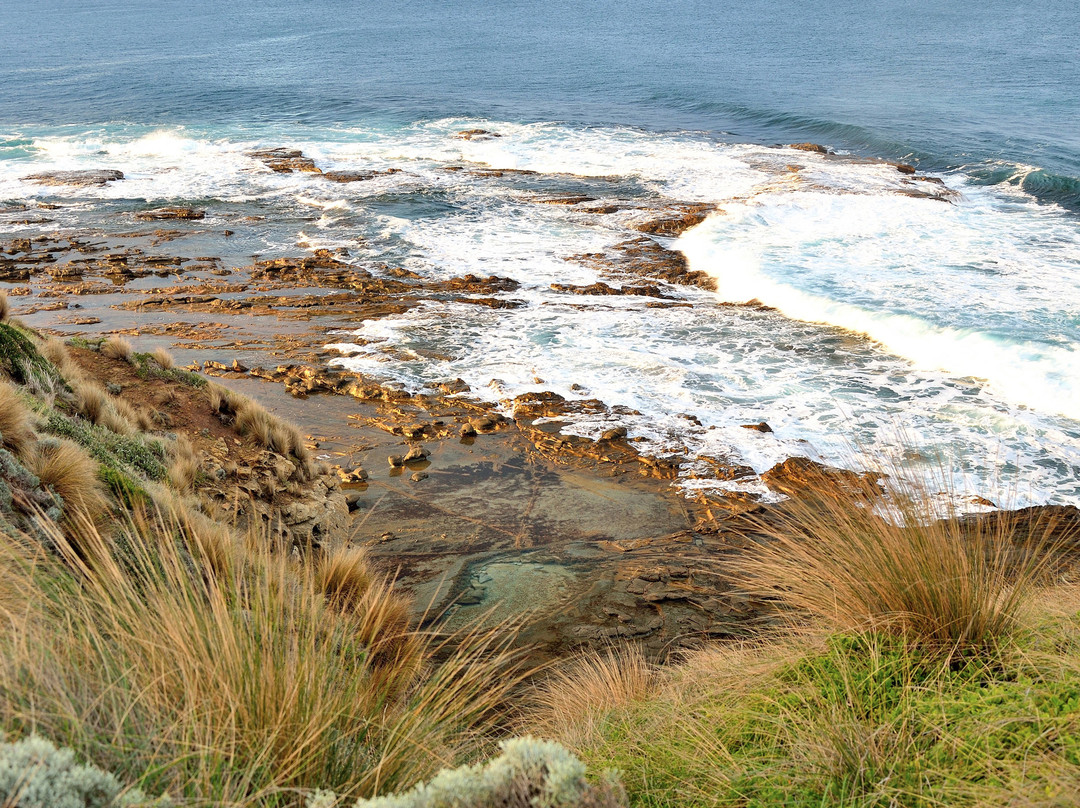 Shelly Beach-Kilcunda必去景点