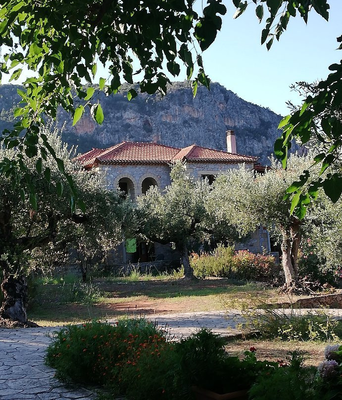 Kalamitsi Hotel主图