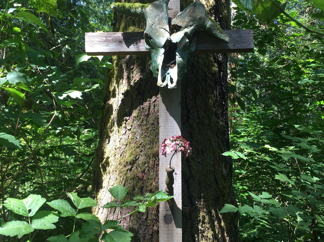 Wacky woods-Fanny Bay必去景点