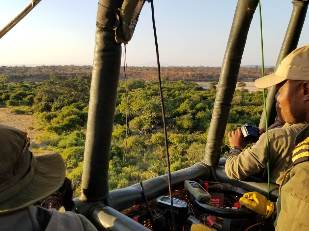 Serengeti Balloon Safaris-鲁阿哈国家公园必去景点