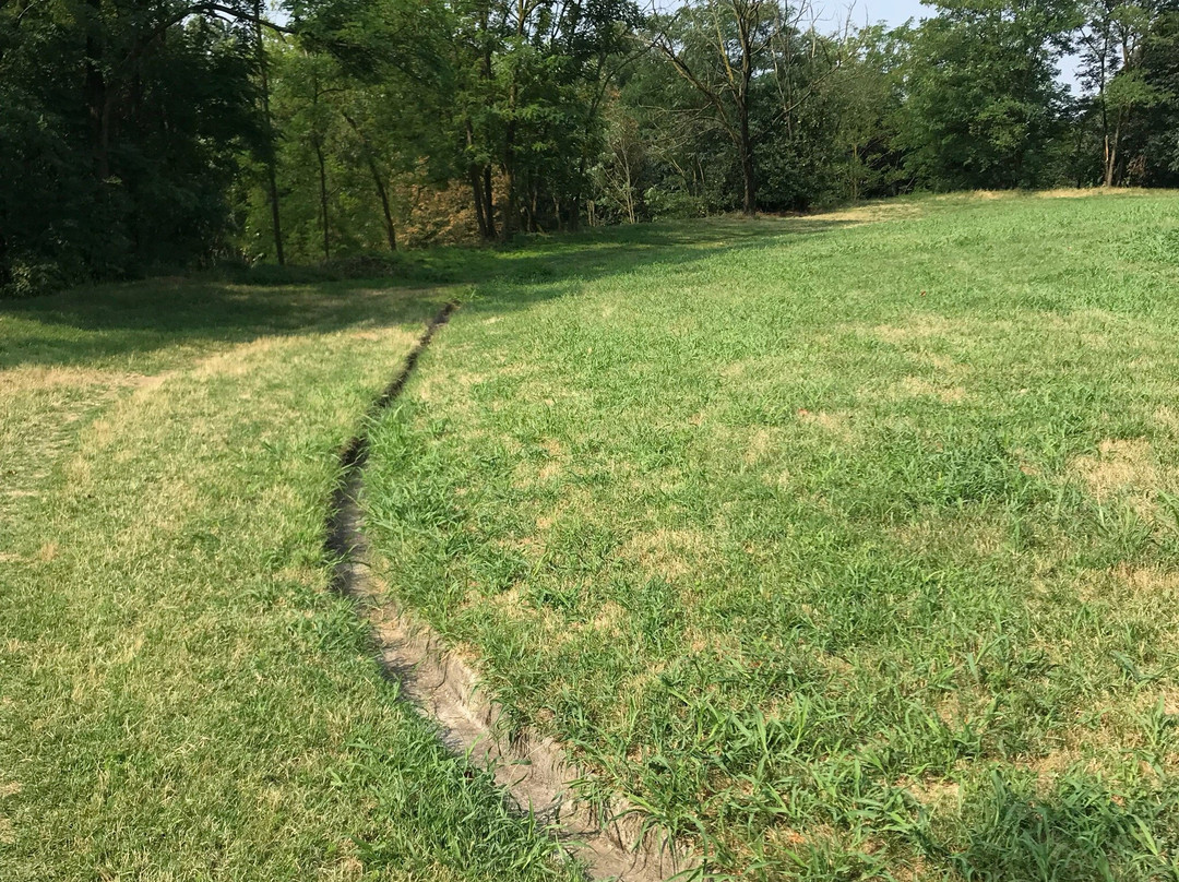 Parco della Media Valle del Lambro景点图片