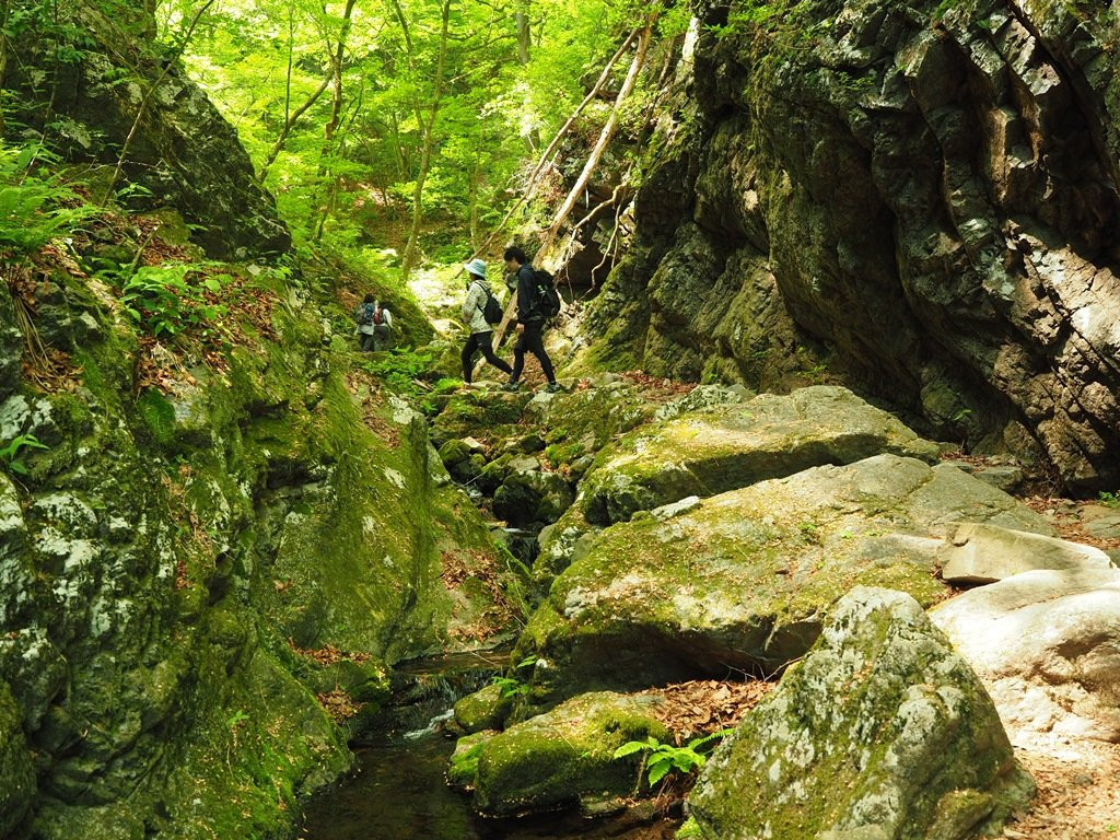 Rock Garden-青梅市必去景点