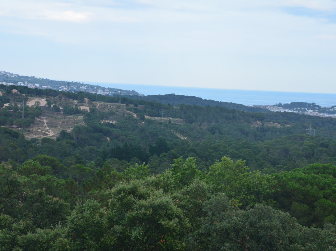 Sant Pere del Bosc景点图片