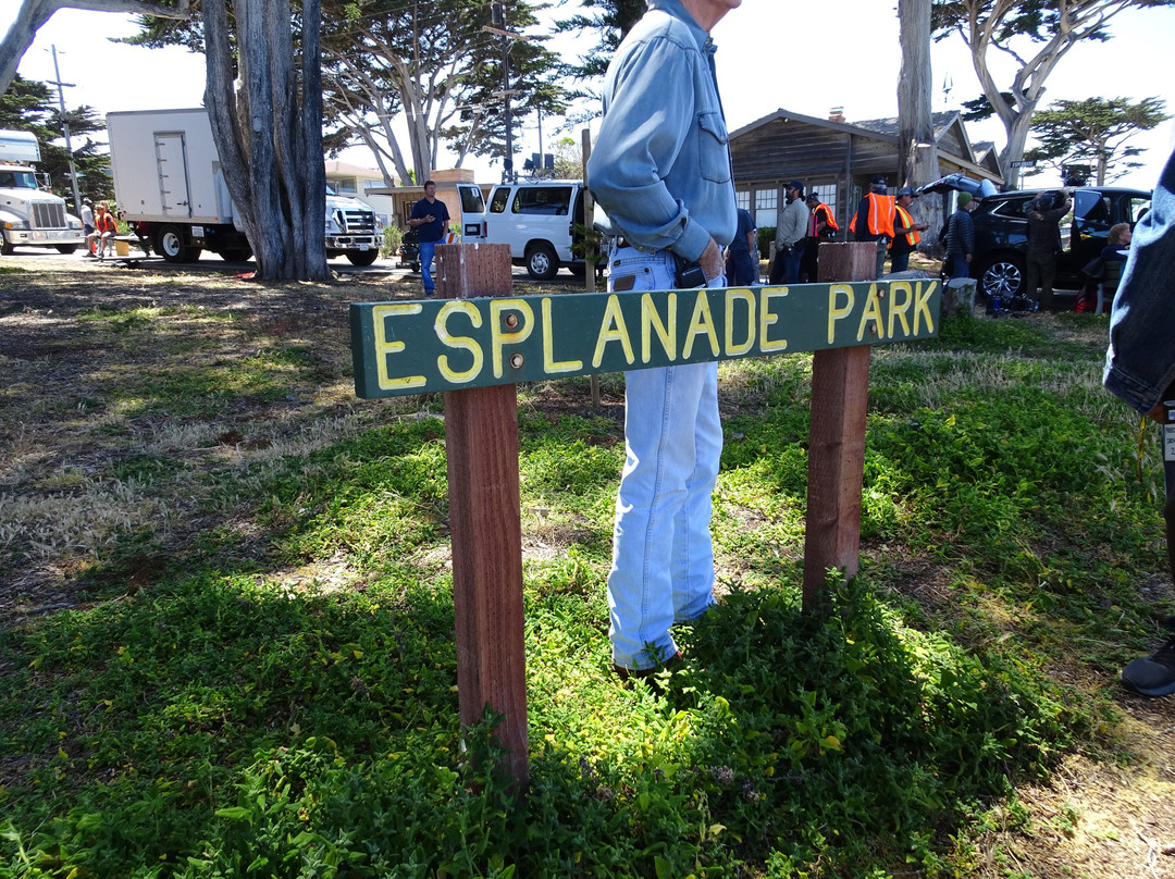 Esplanade Park景点图片