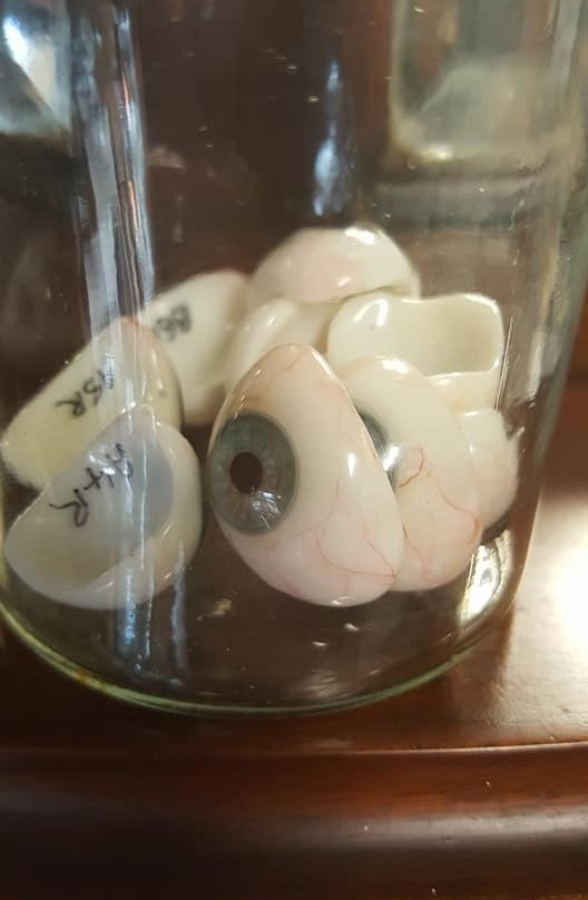 Abernethys Antiques and Curiosities-波特拉什必去景点
