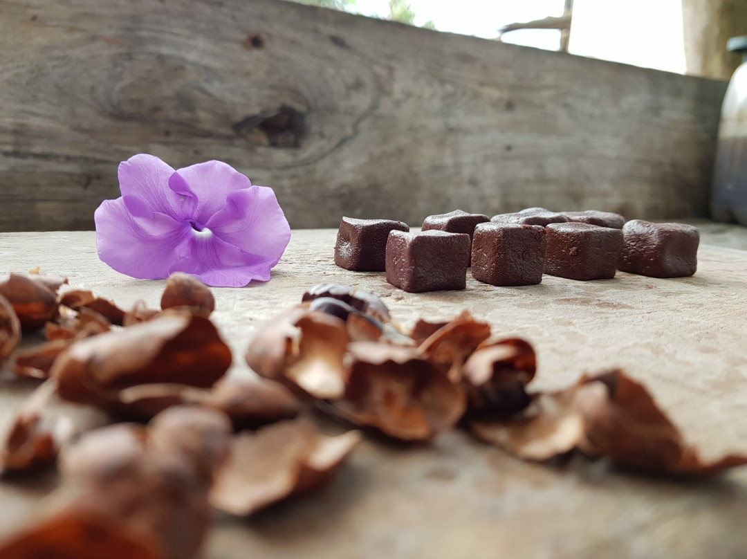 Chocolate Farm Ecuador景点图片