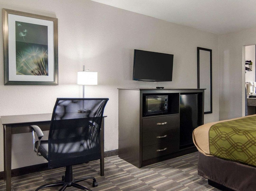 艾康诺小屋主图