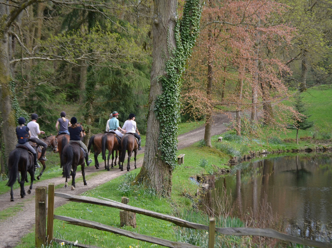 Slades Farm Equestrian Ltd景点图片