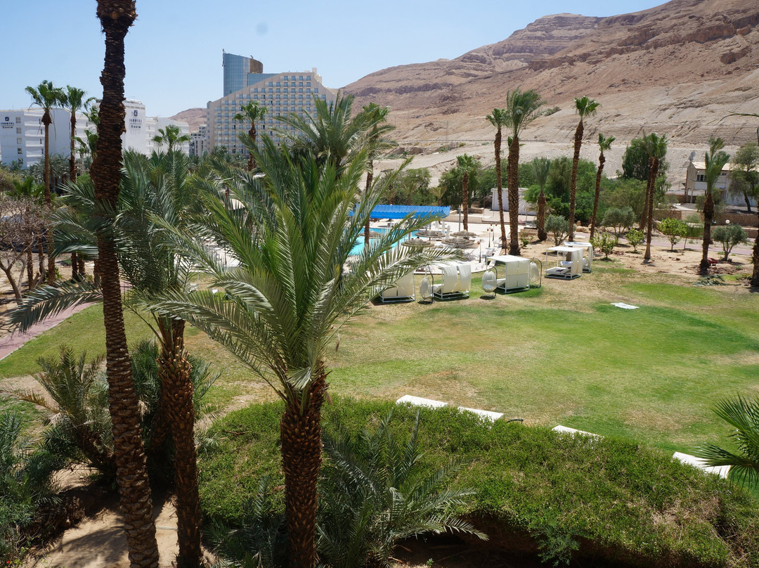 死海莱昂纳多酒店主图