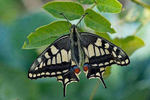 Negev Zoo-贝尔谢巴必去景点