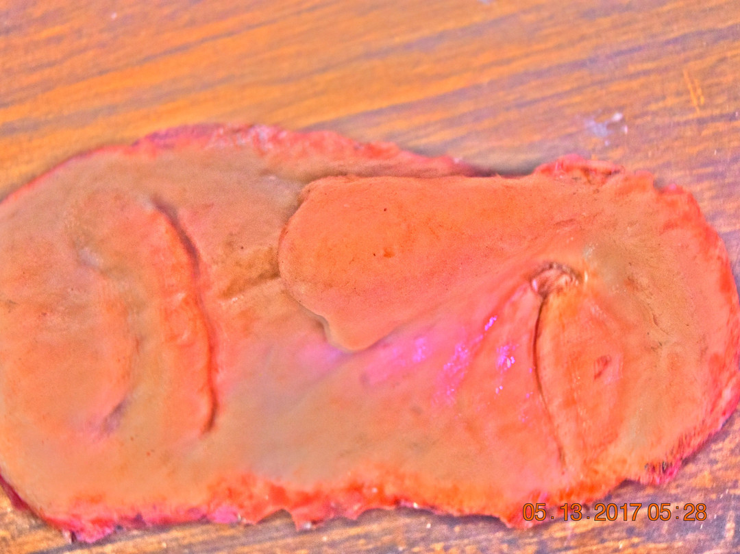 Forbidden Escape-Plainville必去景点